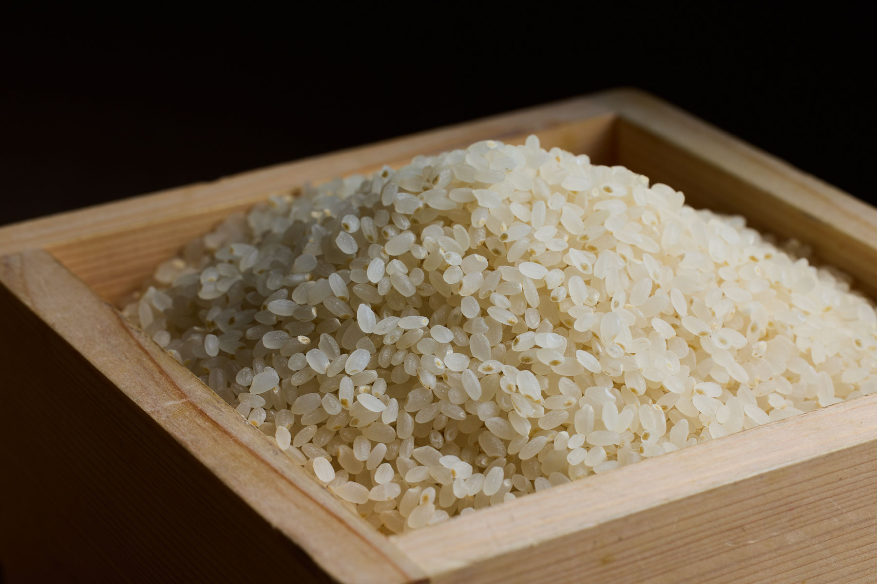 Aoyama SushiSen item #0